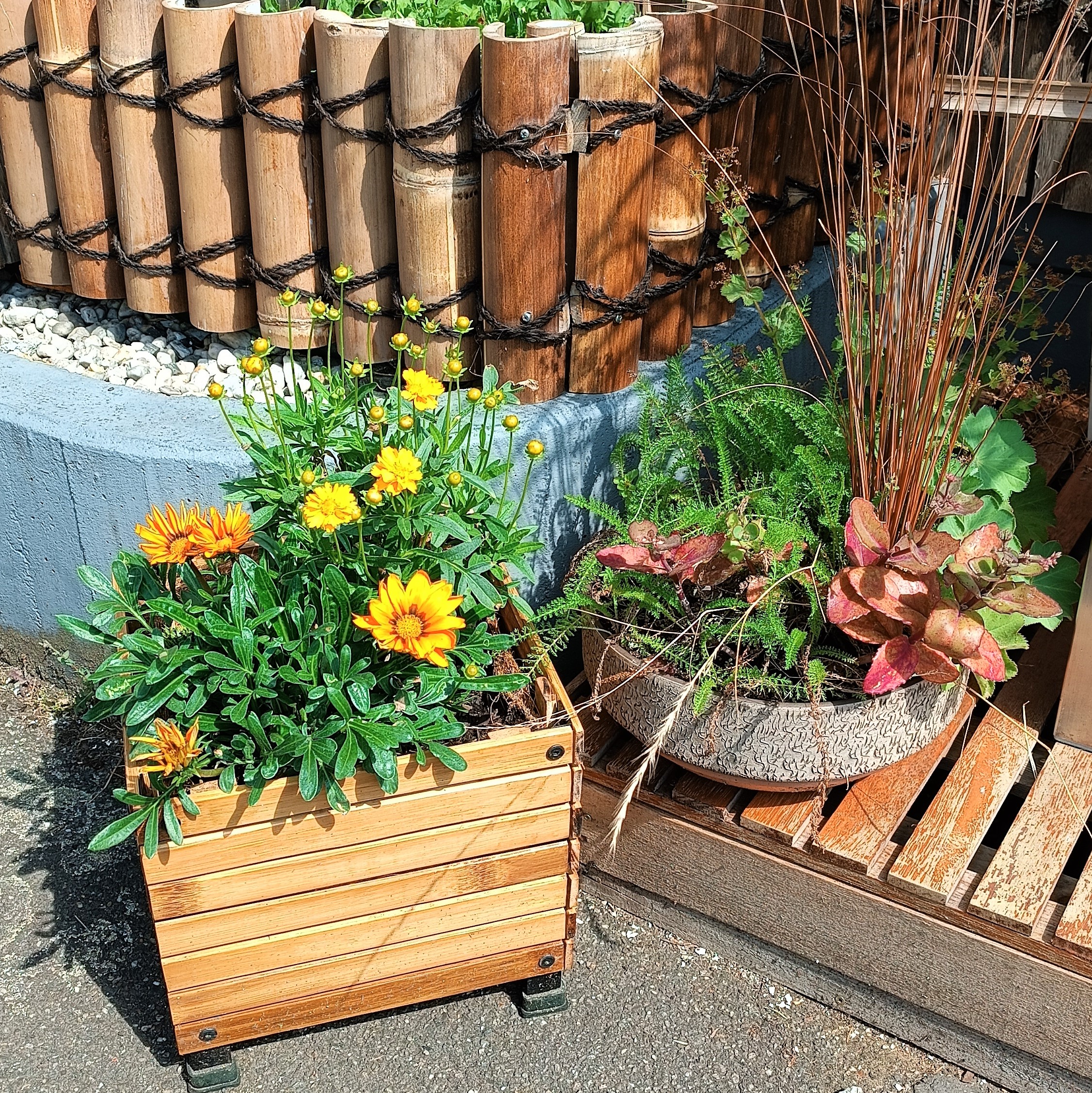 BambusBASIS Pflanzkübel quadratisch 