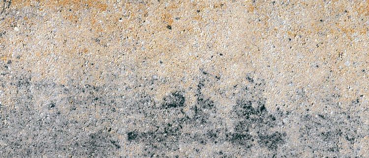 Diephaus VIA Blockstufe MUSCHELKALK 100/35/15 CM