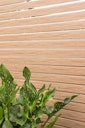 Vorschaubild Traumgarten System Rhombus Vorgartenzaun 1800 x 900 mm