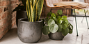 Vorschaubild Vosteen Design Blumentopf / Pflanzgefäß Terrakotta schwarz ø 37 cm x H 30 cm