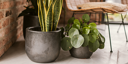 Vosteen Design Blumentopf / Pflanzgefäß Terrakotta schwarz ø 37 cm x H 30 cmZubehörbild