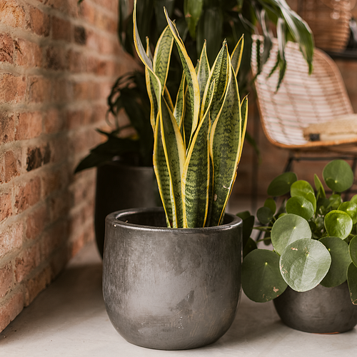 Vosteen Design Blumentopf / Pflanzgefäß Terrakotta schwarz ø 37 cm x H 30 cm