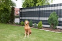 Vorschaubild dz Sichtschutzstreifen A1-Blickdicht - 35m