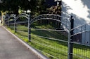 Vorschaubild dz Schmuckzaunmatte Residenz standard WIEN