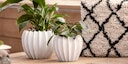 Vorschaubild Wikholm form Design Pflanzgefäß / Blumentopf 2er Set Keramik weiß  ⌀ 15 x H 18 cm;  18 x H 22 cm