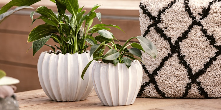 Wikholm form Design Pflanzgefäß / Blumentopf 2er Set Keramik weiß  ⌀ 15 x H 18 cm;  18 x H 22 cm