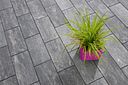 Vorschaubild Diephaus Pflastersteine NATURA VIGO 40 x 20 x 6 cm