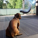 Vorschaubild UPM ProFi Terrassendiele Design Deck-Steingrau