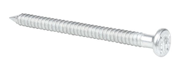 Alberts® Ankernagel verzinkt ⌀4 mm Länge 60 mm im Karton verpackt à 250 St. 