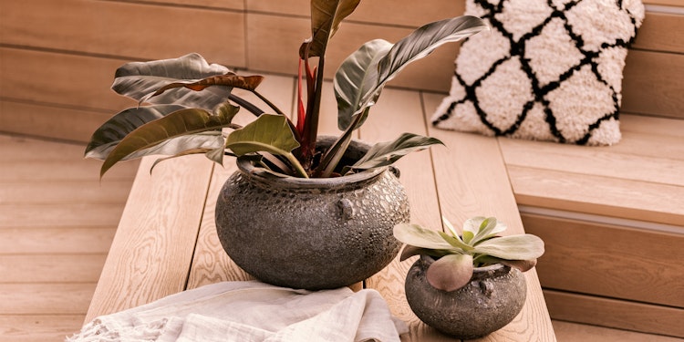 Vosteen Design Blumentopf / Pflanzgefäß Terrakotta schwarz ø 40 cm x H 27 cm