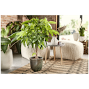 Vorschaubild Klocke Design Pflanzgefäß / Blumentopf Keramik ⌀ 38 cm x H 37 cm