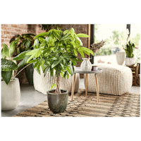 Klocke Design Pflanzgefäß / Blumentopf 4er Set Keramik ⌀ 23 cm x H 34 cm, 30 cm x H 26 cm, 38 cm x H 37 cm, 47 cm x H 47 cm