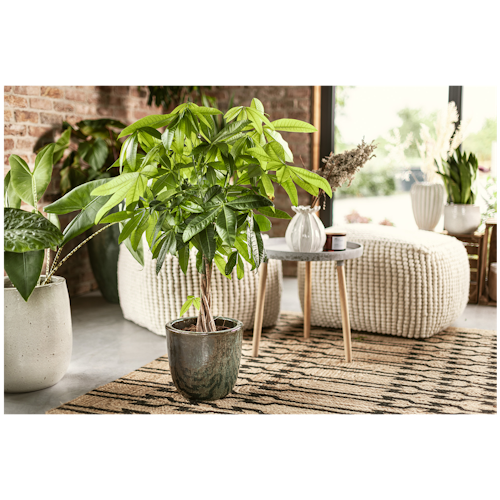 Klocke Design Pflanzgefäß / Blumentopf Keramik ⌀ 38 cm x H 37 cm