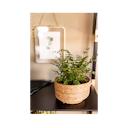 Vorschaubild Wikholm form Design Pflanzgefäß / Blumentopf Jute 2er Set ⌀ 19 x H 14 cm, 23 x H 15 cm