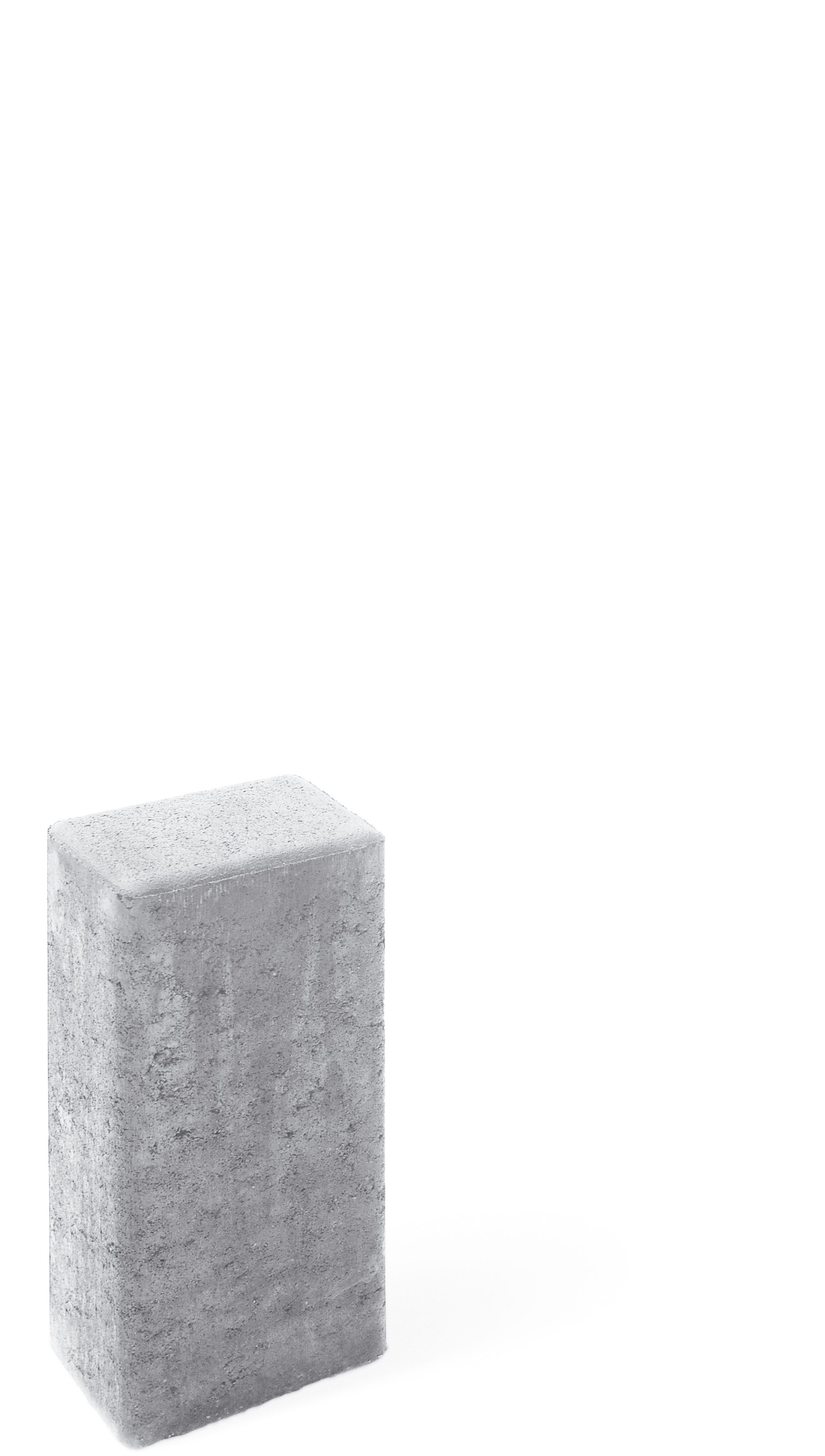 Diephaus RECHTECK-Palisade GRAU 40/16,5/12 CM