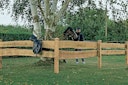 Vorschaubild T&J HOSS BONANZA Zaunbrett sägerau druckimprägniert grün 24 x 2500 mm